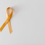 stéatose hépatique foie gras causes