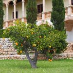 Sport, nature et alimentation